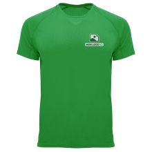 Vert Fougère